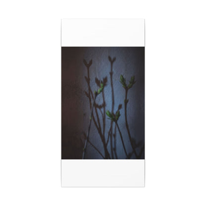 Shadow Play Spring Canvas Art | Dark Japandi Sophisticated Design