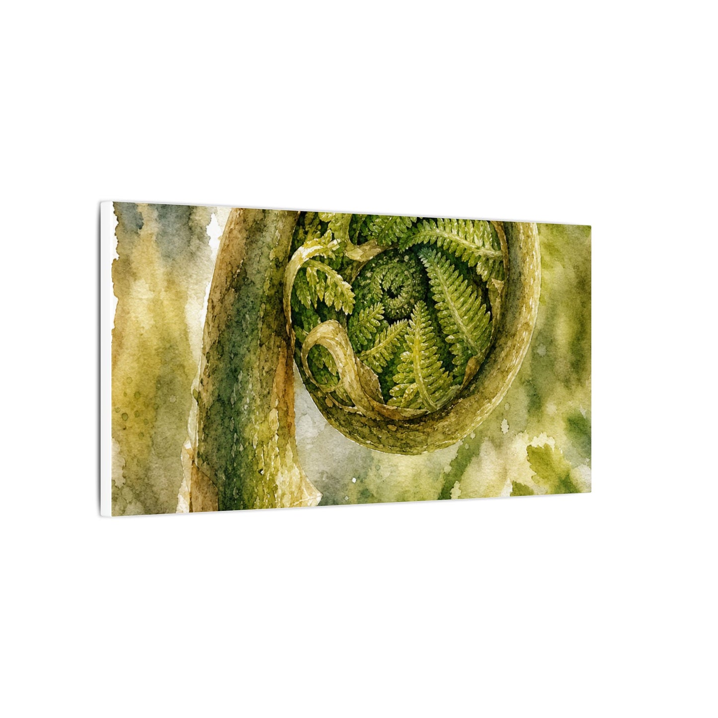 Japandi Fern Unfurling in Dappled | Watercolor Canvas Art