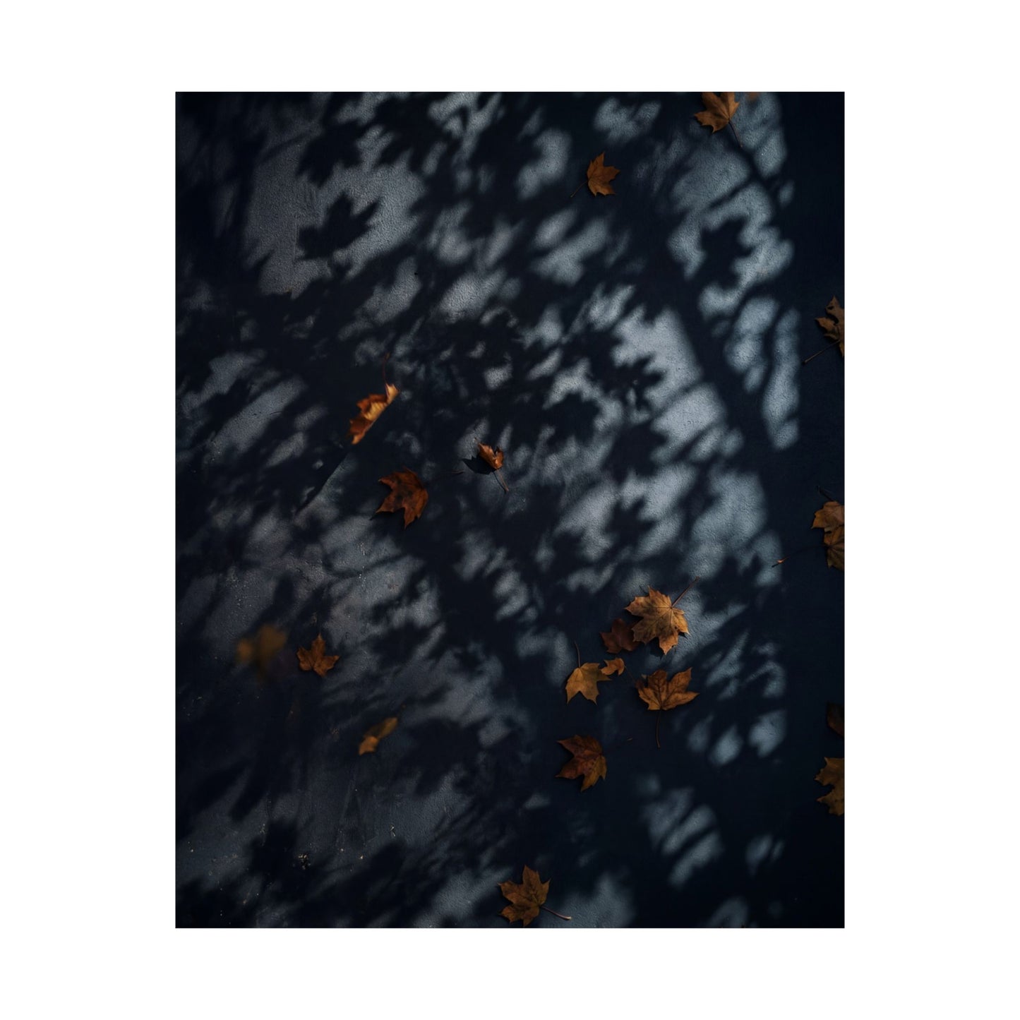 Shadow Play Shadow Zen Wall Art Print | Luxurious Dark Japandi Art