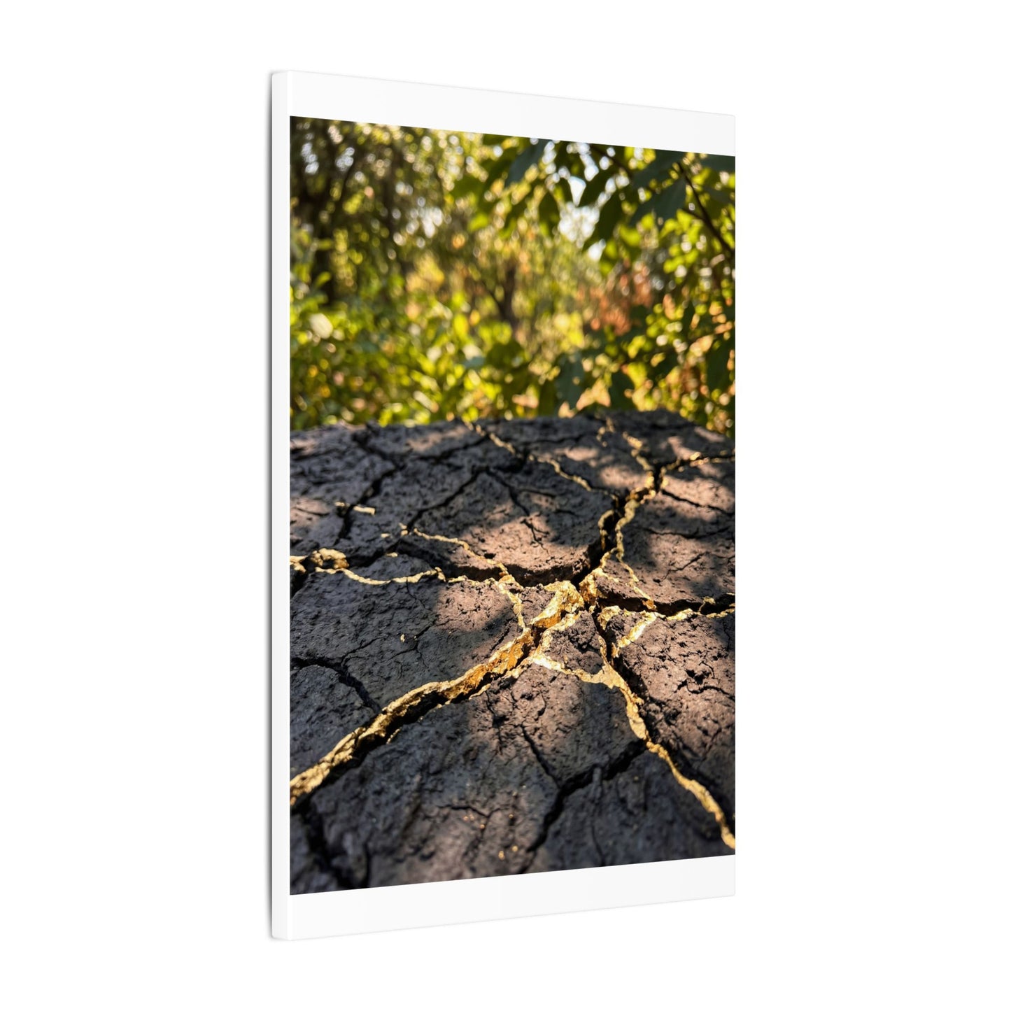 Shibui Cracked Earth Canvas Art - Kintsugi Gold Repair