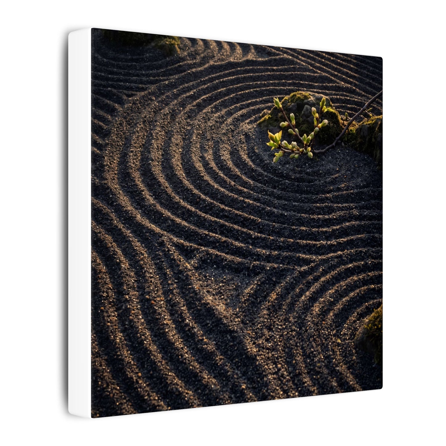 Spring Rock Garden Shadow Zen Canvas Art | Atmospheric Decor