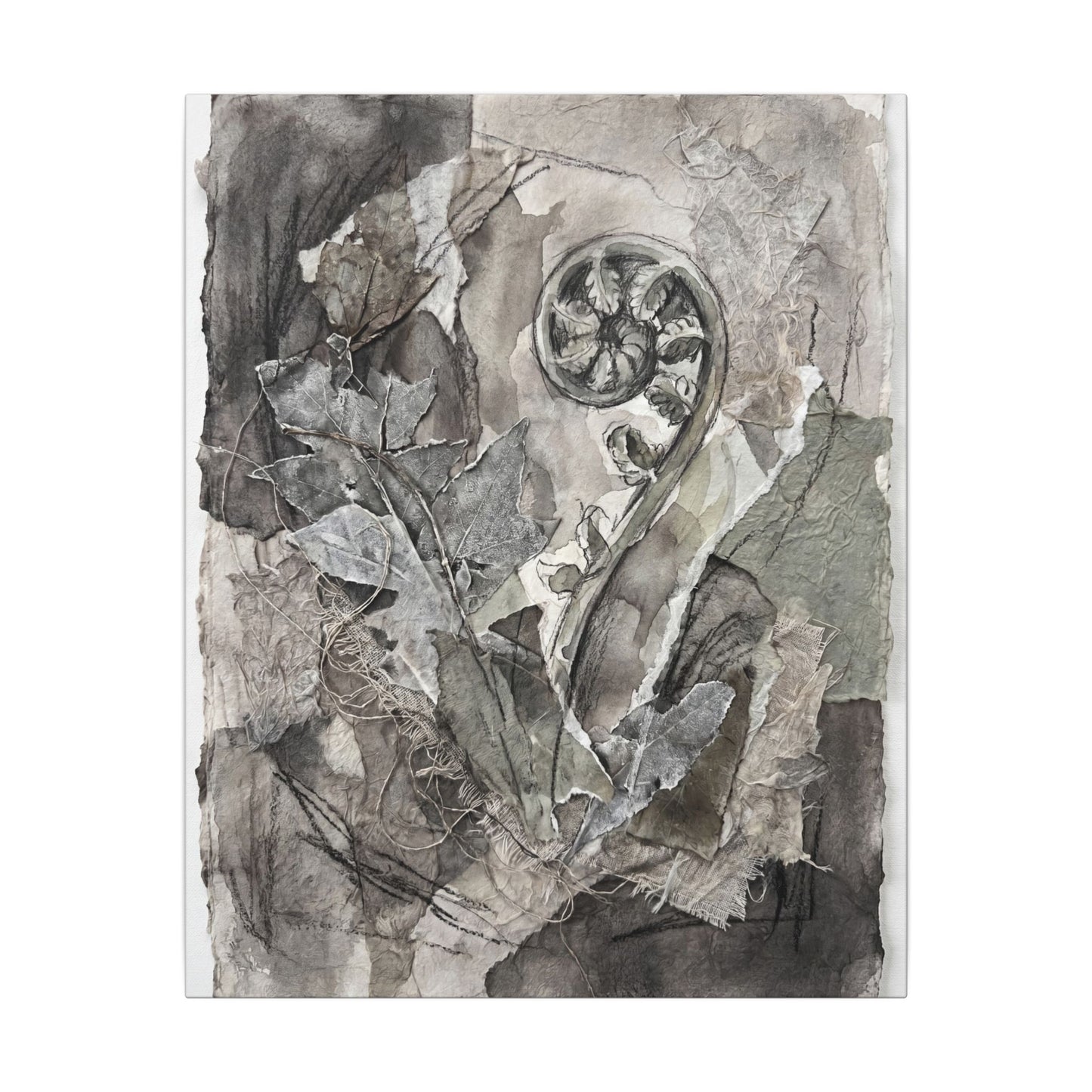 Japandi Fern Unfurling in Overcast | Texture Canvas Art