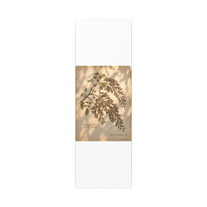 Spring Wisteria Herbarium Canvas Art | Earthy Decor