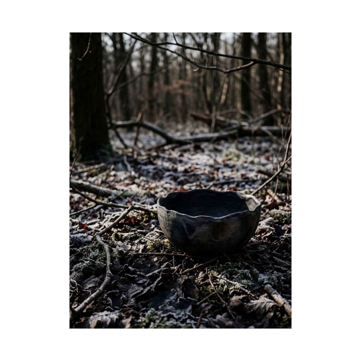 Winter Ceramic Bowl Shadow Zen Wall Art Print | Luxurious Decor