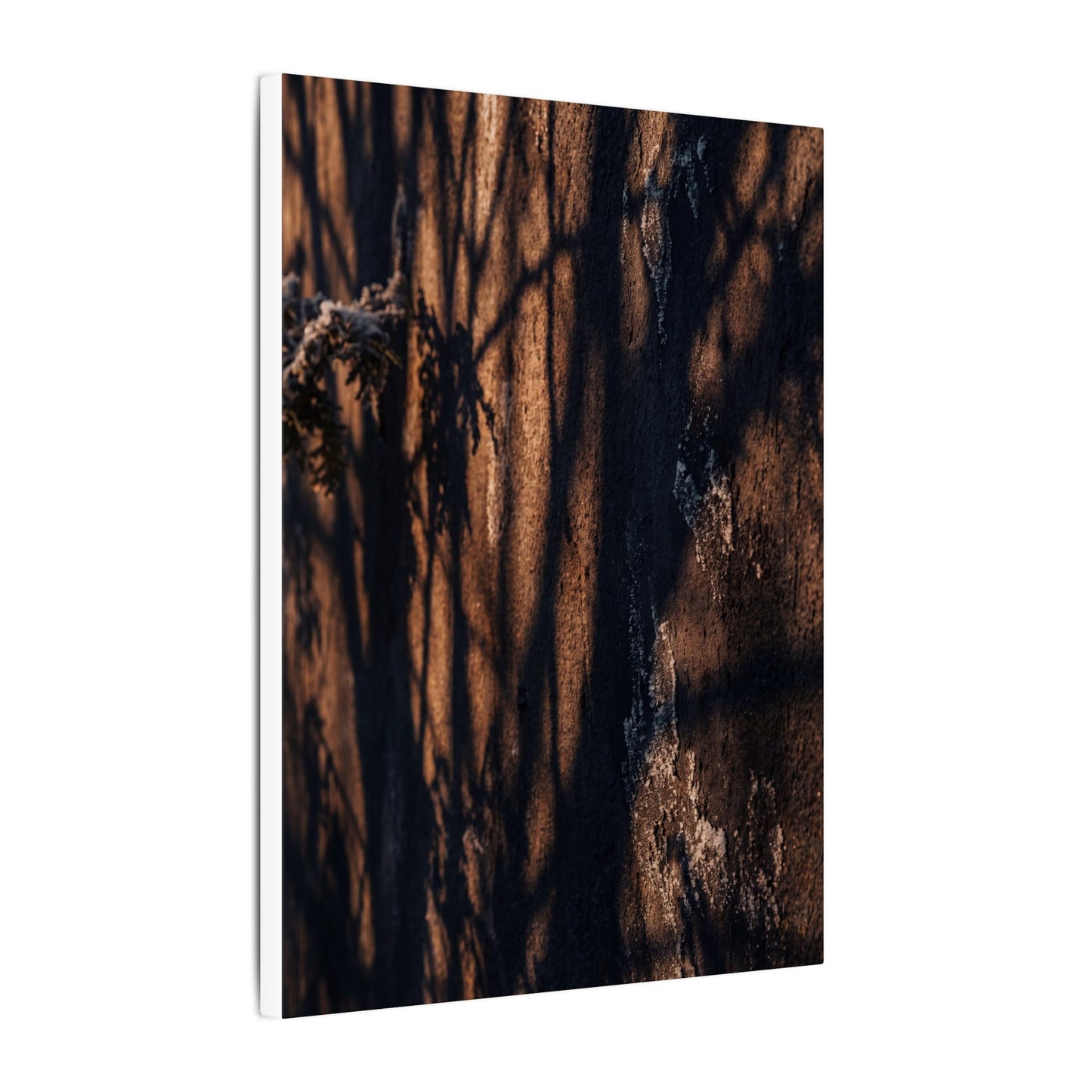 Golden Hour Shadow Play Canvas Art - Dark Japandi Fukinsei