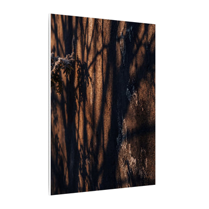 Golden Hour Shadow Play Canvas Art - Dark Japandi Fukinsei