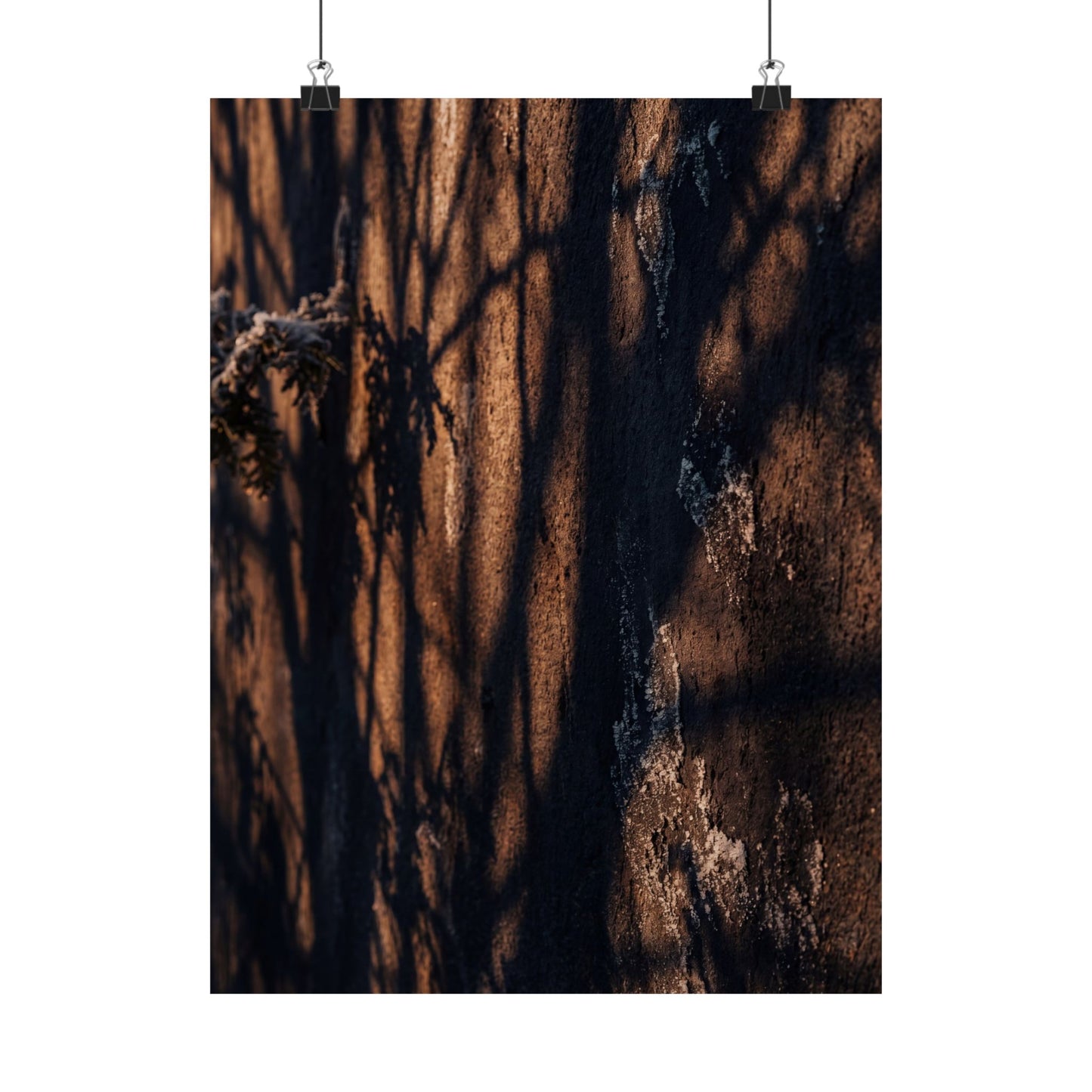 Shadow Play Wall Art Print | Winter Dark Japandi Moody Minimal Art Art Print