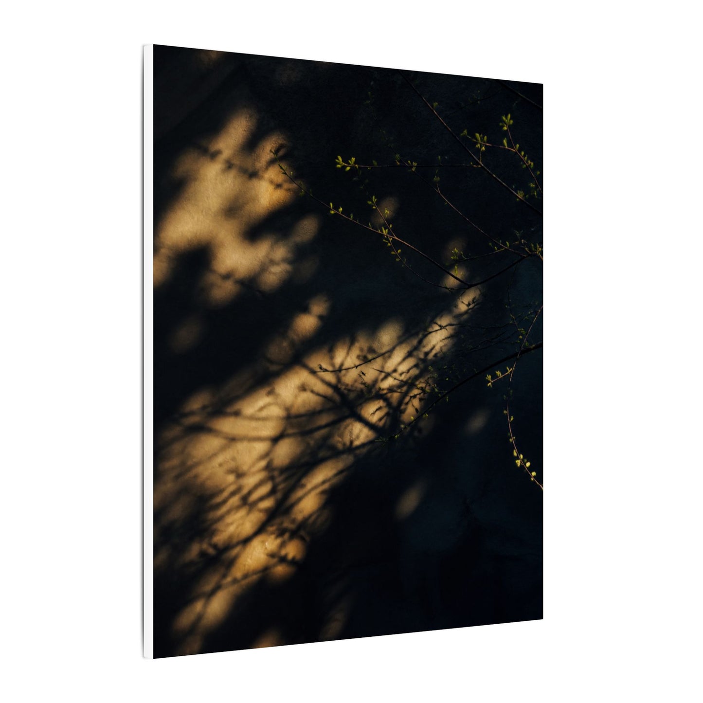 Moody Shadow Play Canvas Art - Moody Minimal Dark Japandi