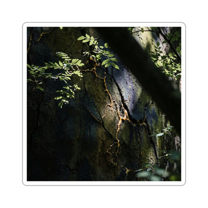 Dappled Cracked Earth Sticker - Dark Japandi Ma