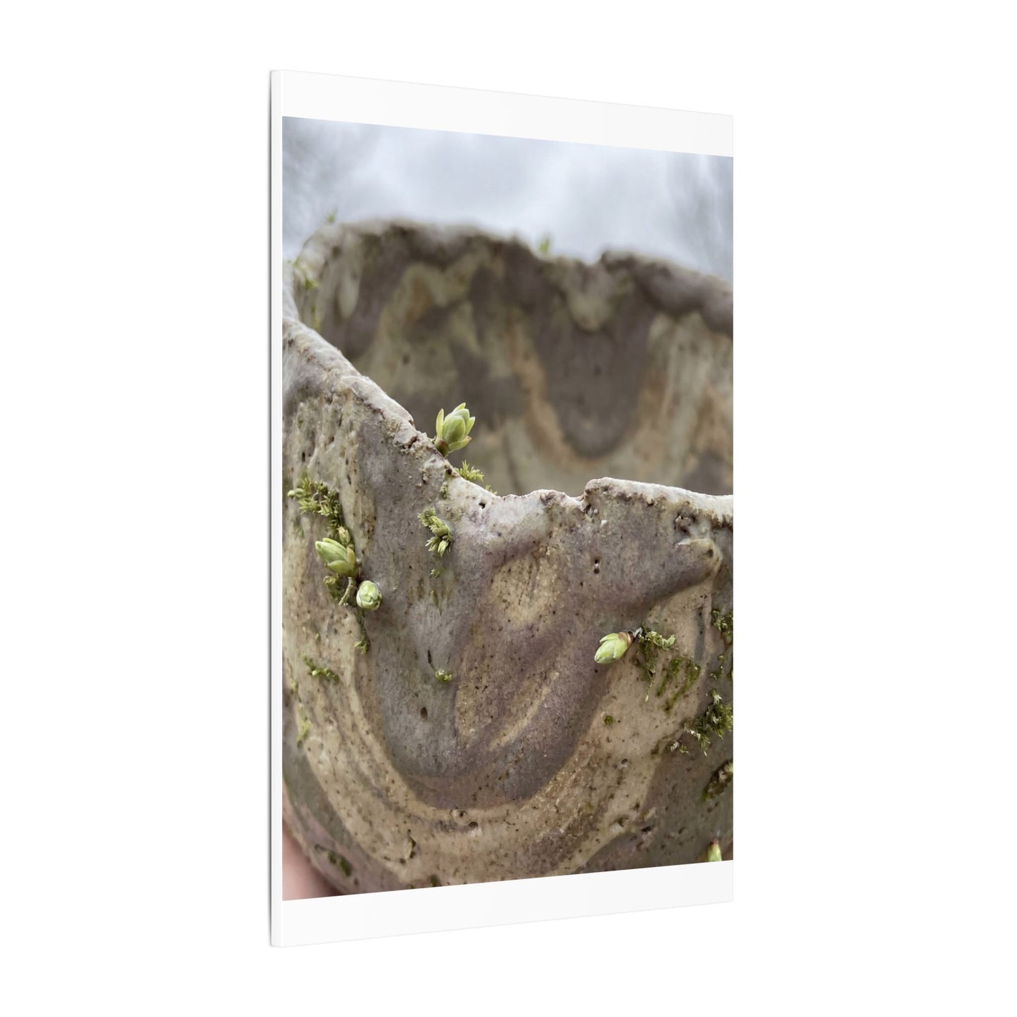 Overcast Ceramic Bowl Canvas Art - Japandi Fukinsei