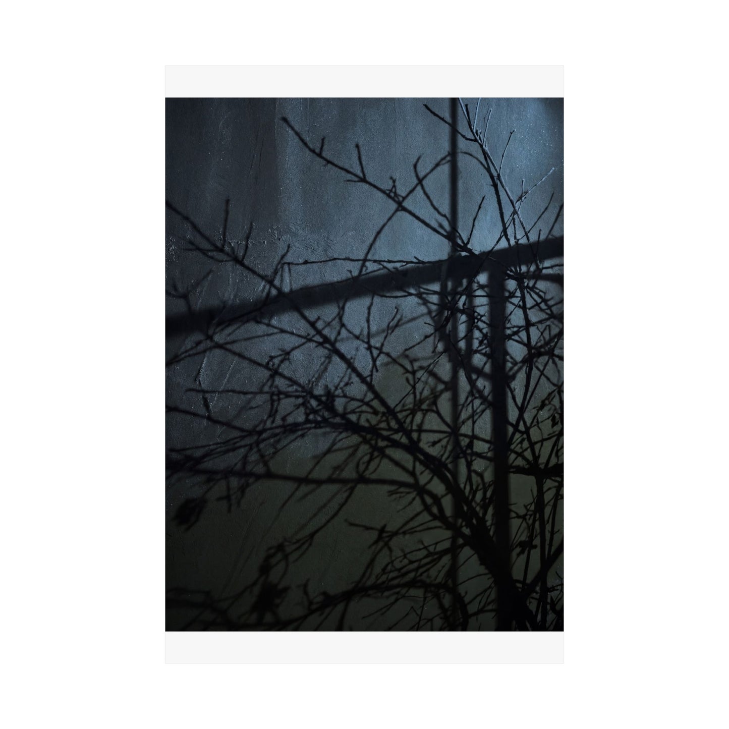 Shadow Play Winter Wall Art Print | Dark Japandi Luxurious Design