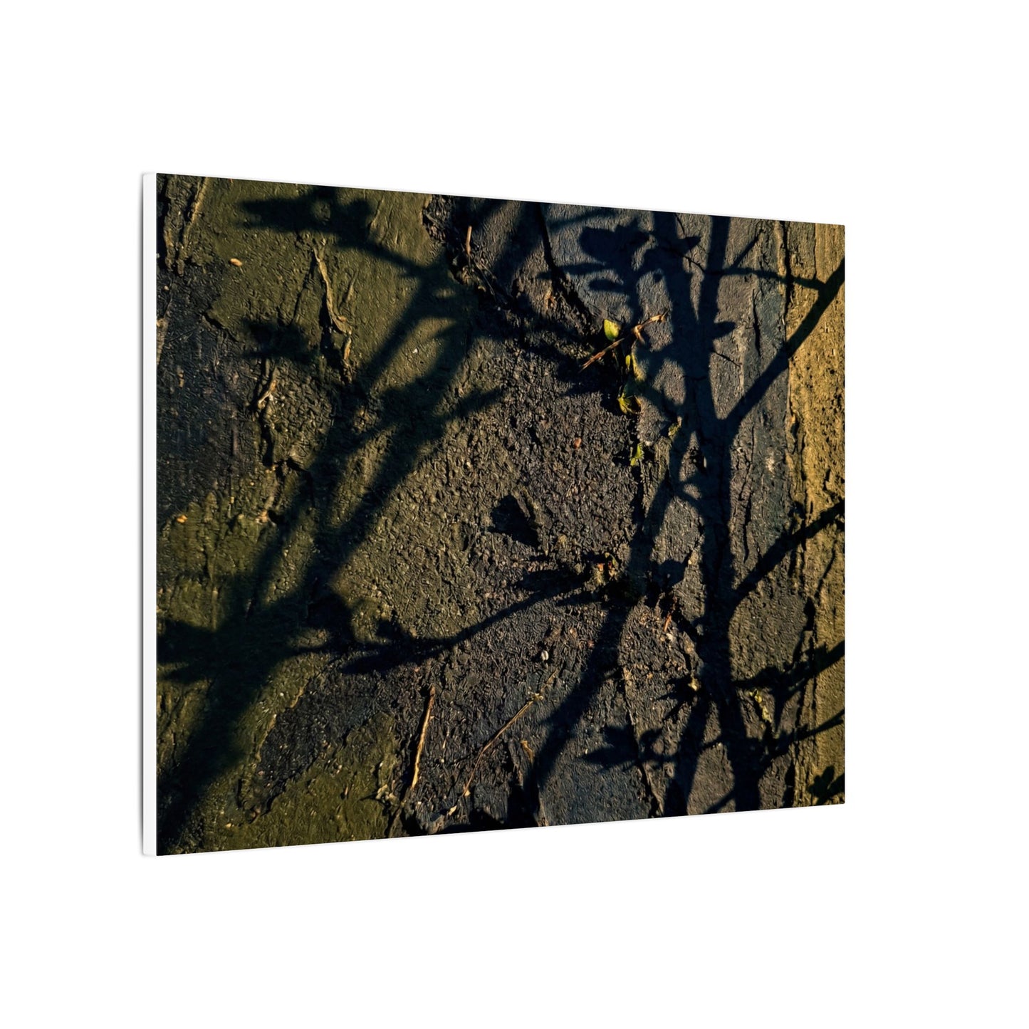 Kanso Shadow Play Canvas Art - Dark Japandi Dark Texture