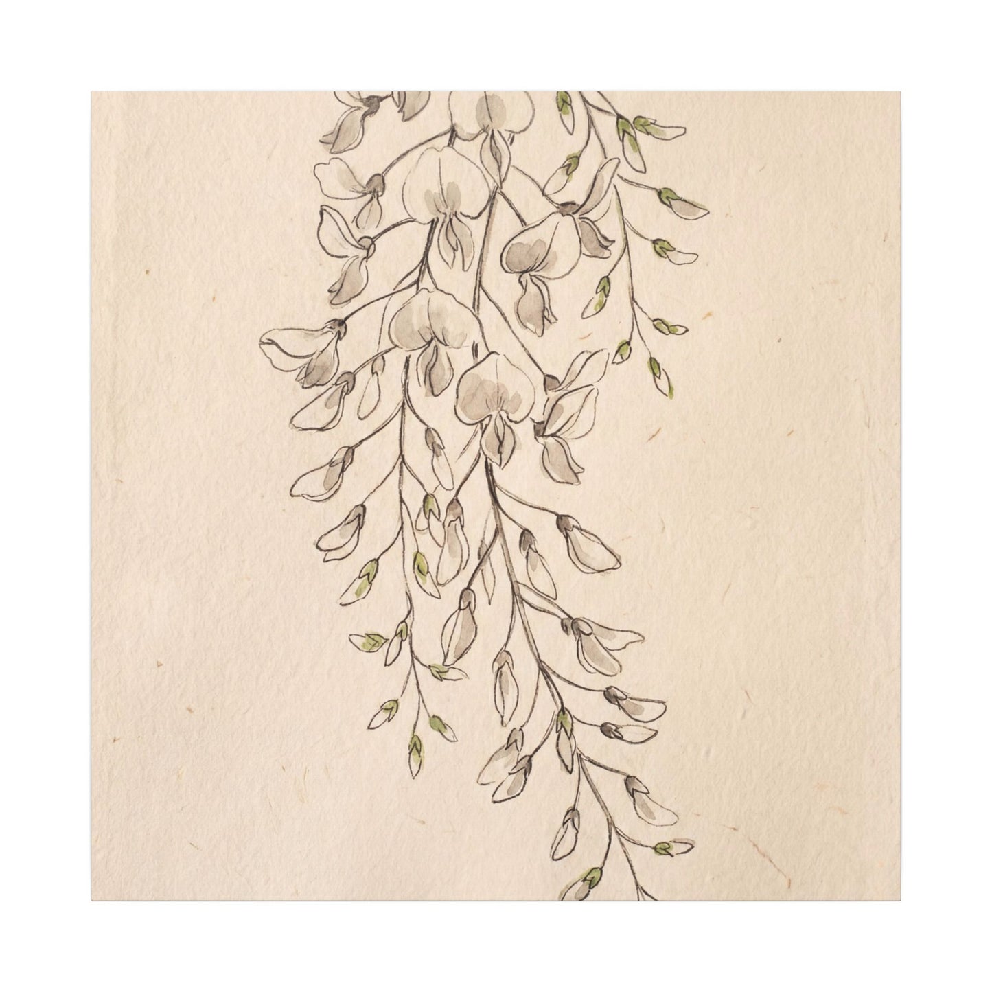 Japandi Wisteria in Golden Hour | Minimal Line Canvas Art