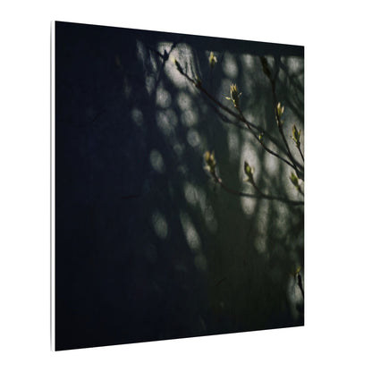 Dark Japandi Shoji Screen in Dappled | Moody Minimal Canvas Art