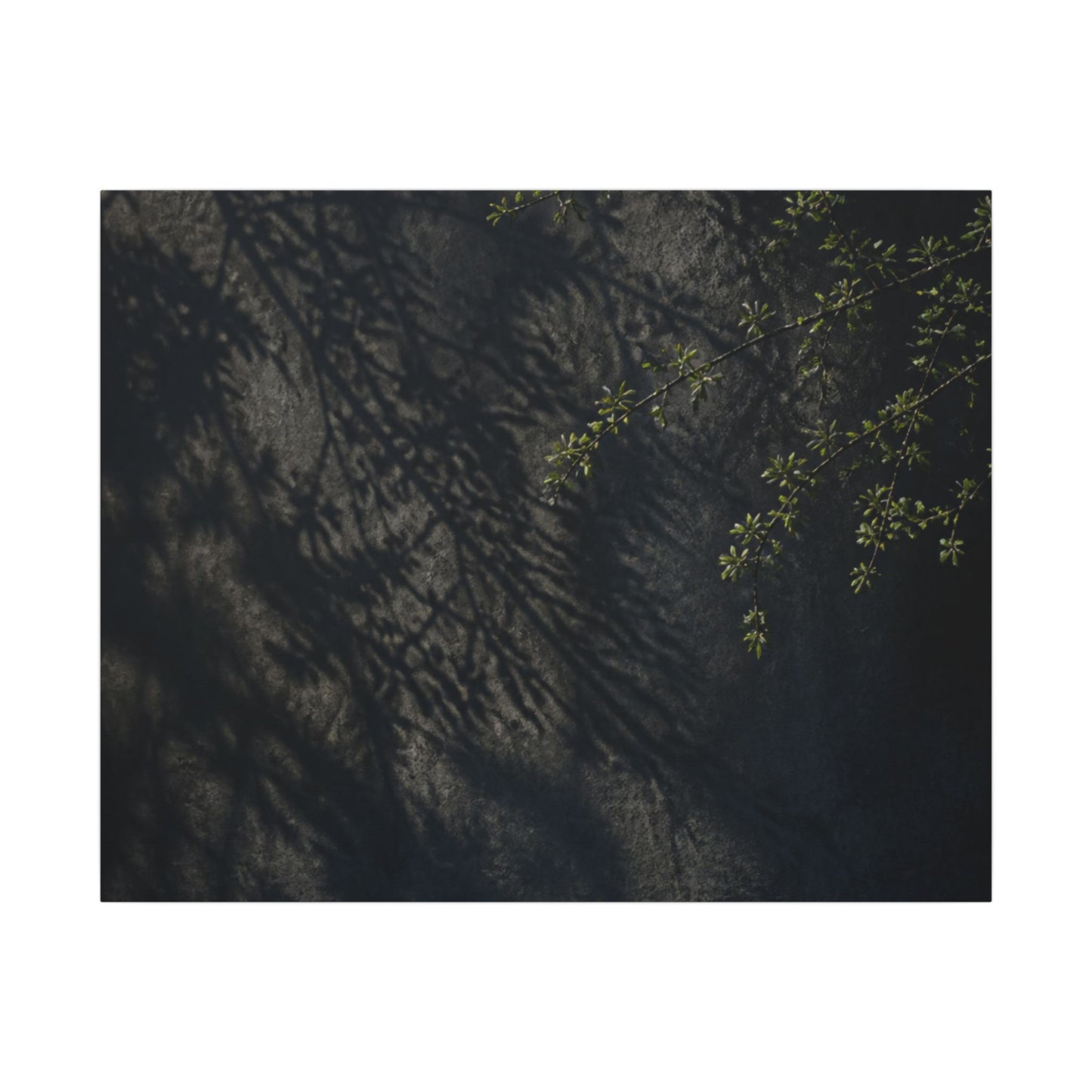 Overcast Shadow Play Canvas Art - Dark Japandi Seijaku