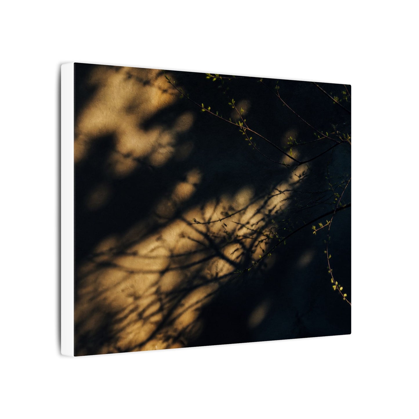 Moody Shadow Play Canvas Art - Moody Minimal Dark Japandi