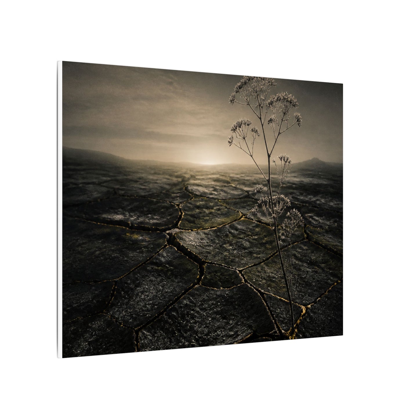 Dawn Cracked Earth Canvas Art - Dark Japandi Mono No Aware