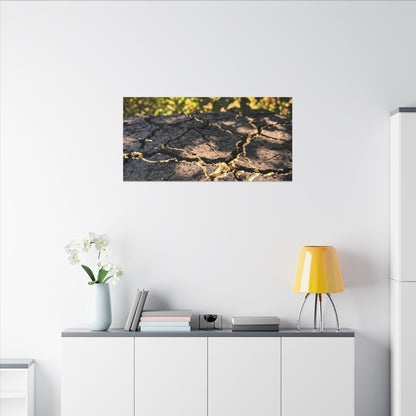Shibui Cracked Earth Canvas Art - Kintsugi Gold Repair