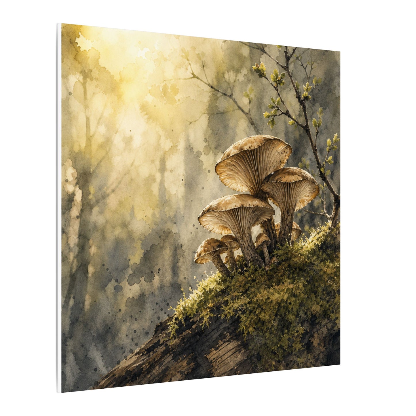 Wild Mushrooms Canvas Art | Spring Japandi Watercolor Art
