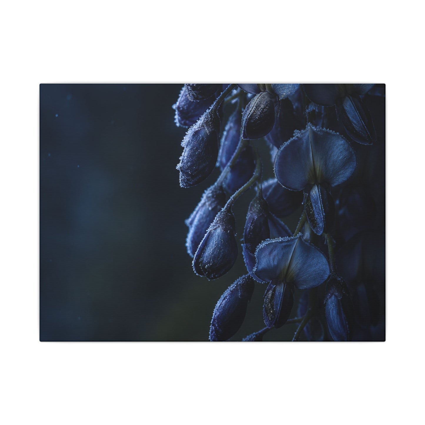 Winter Wisteria Shadow Zen Canvas Art | Atmospheric Decor