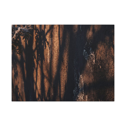Golden Hour Shadow Play Canvas Art - Dark Japandi Fukinsei Art Print