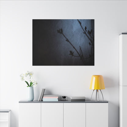 Shadow Play Canvas Art | Spring Dark Japandi Moody Minimal Art
