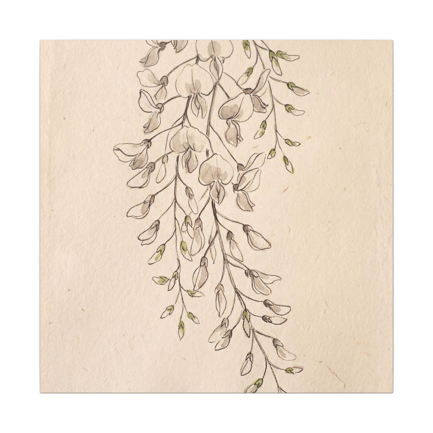 Japandi Wisteria in Golden Hour | Minimal Line Canvas Art