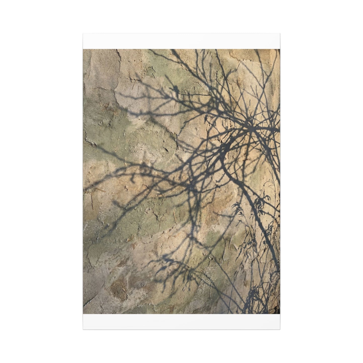 Japandi Shadow Play in Golden Hour | Texture Canvas Art
