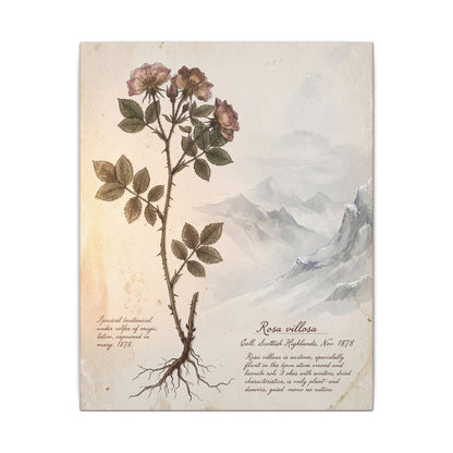 Winter Mountain Mist Herbarium Canvas Art | Earthy Decor
