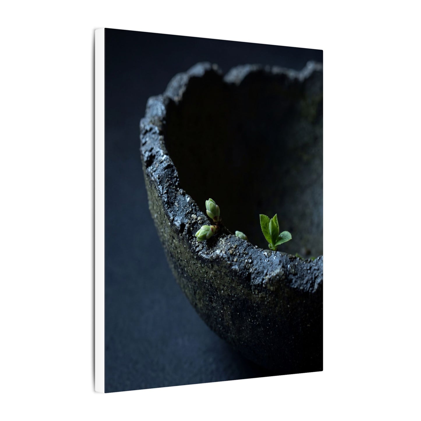 Dark Japandi Ceramic Bowl in Moonlight | Moody Minimal Canvas Art