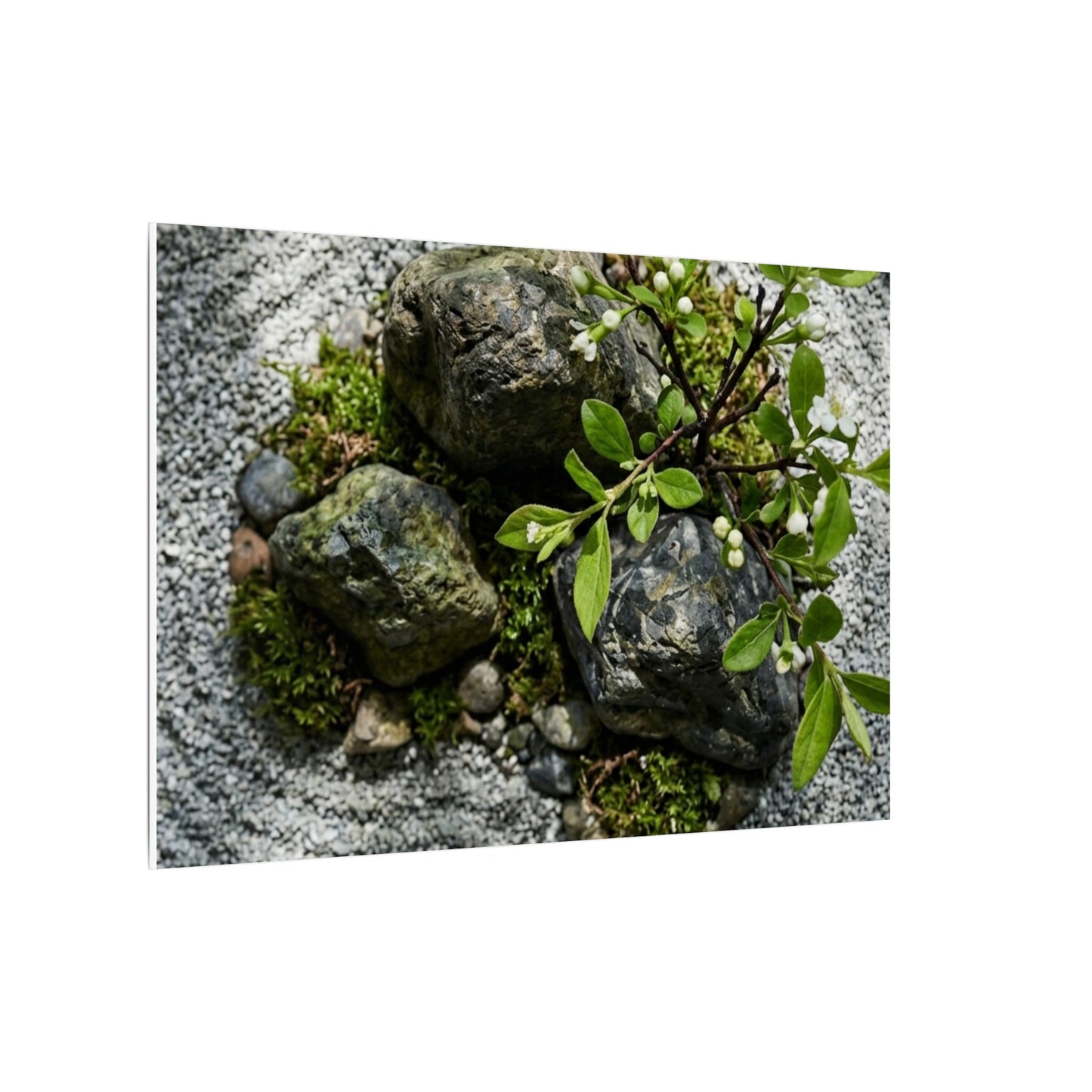 Zen Ceramic Bowl in Dappled | Karesansui Canvas Art