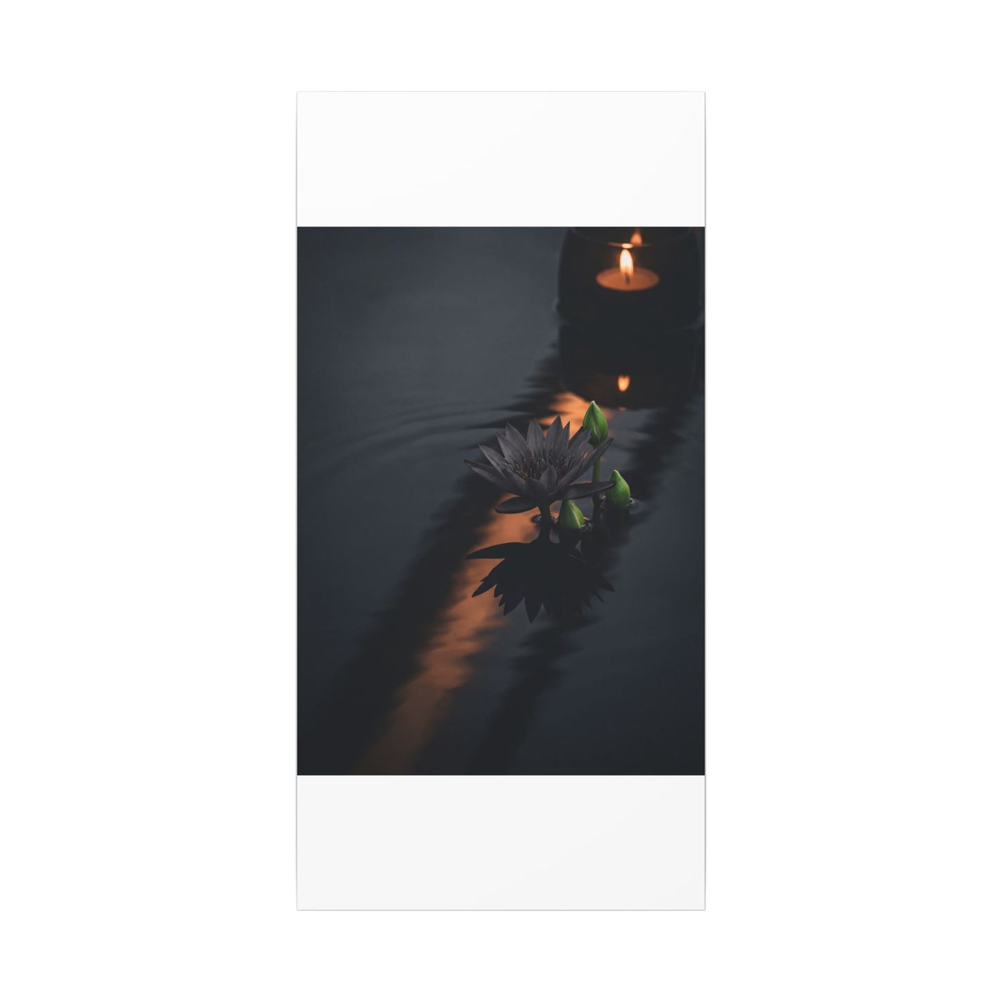 Seijaku Lotus Flower Canvas Art - Dark Japandi Shadow Zen