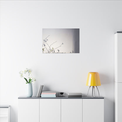 Japandi Shadow Play in Dawn | Japanese Pattern Canvas Art