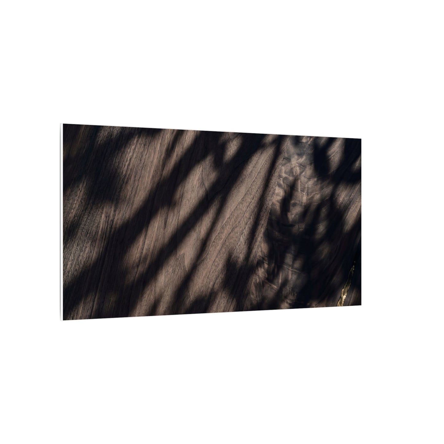 Shadow Play Summer Canvas Art | Dark Japandi Moody Design