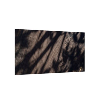 Shadow Play Summer Canvas Art | Dark Japandi Moody Design