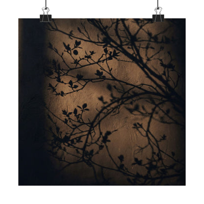 Sophisticated Shadow Play Wall Art Print - Shadow Zen Dark Japandi Art Print