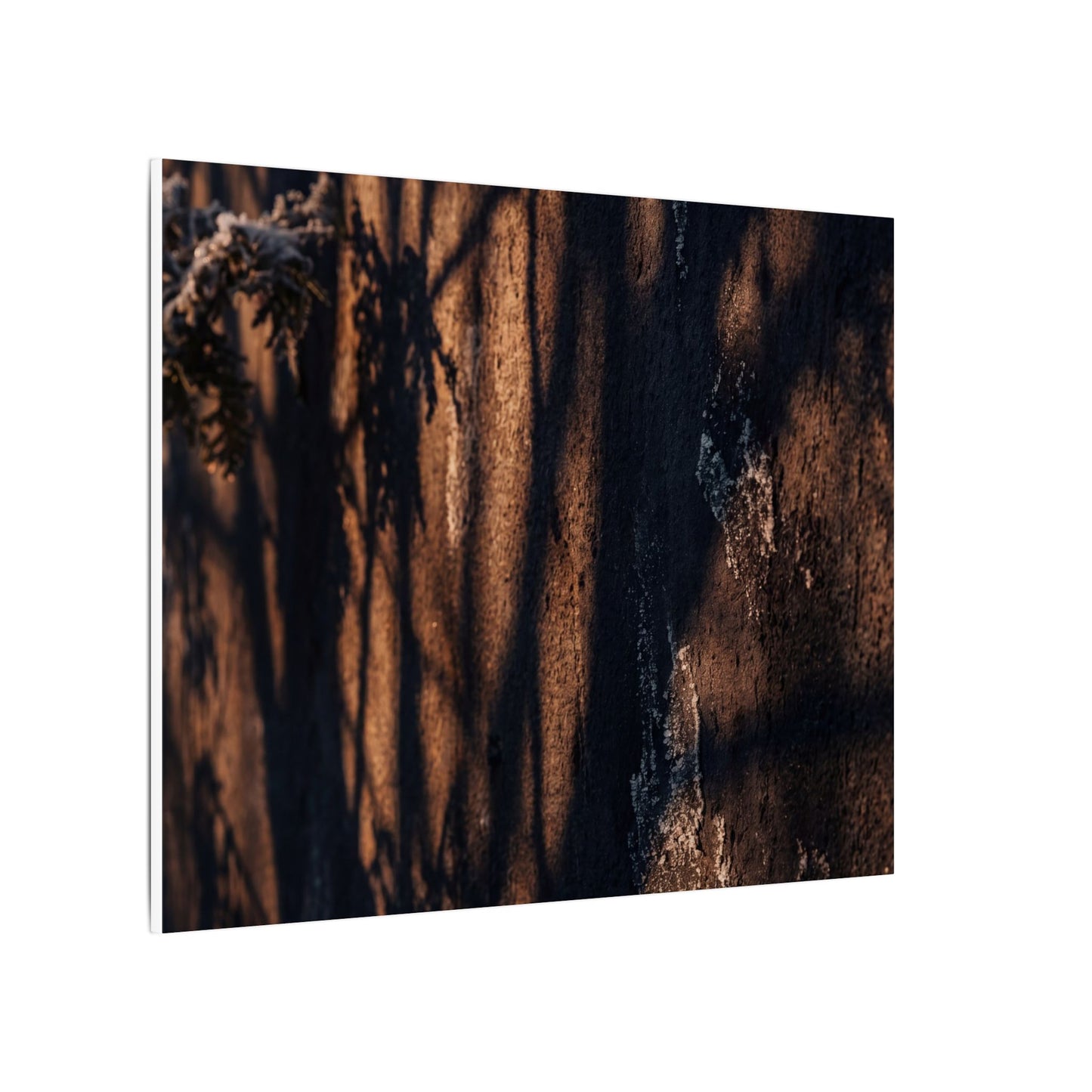 Golden Hour Shadow Play Canvas Art - Dark Japandi Fukinsei