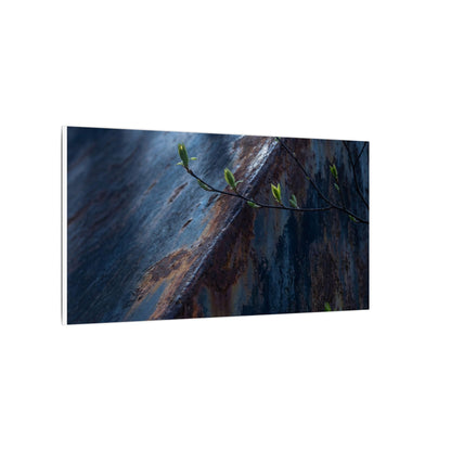 Rust Patina Canvas Art | Spring Dark Japandi Shadow Zen Art