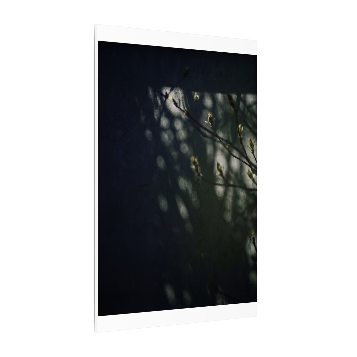 Dark Japandi Shoji Screen in Dappled | Moody Minimal Canvas Art