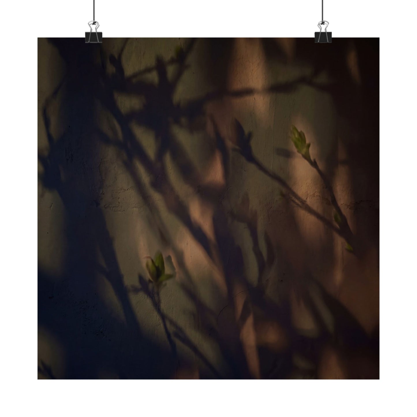 Shadow Play Spring Wall Art Print | Dark Japandi Sophisticated Design