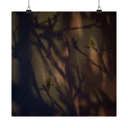 Shadow Play Spring Wall Art Print | Dark Japandi Sophisticated Design
