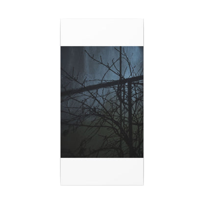 Moonlight Shadow Play Canvas Art - Dark Japandi Shibui