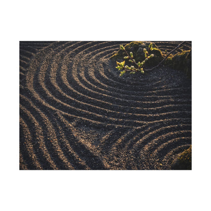 Spring Rock Garden Shadow Zen Canvas Art | Atmospheric Decor