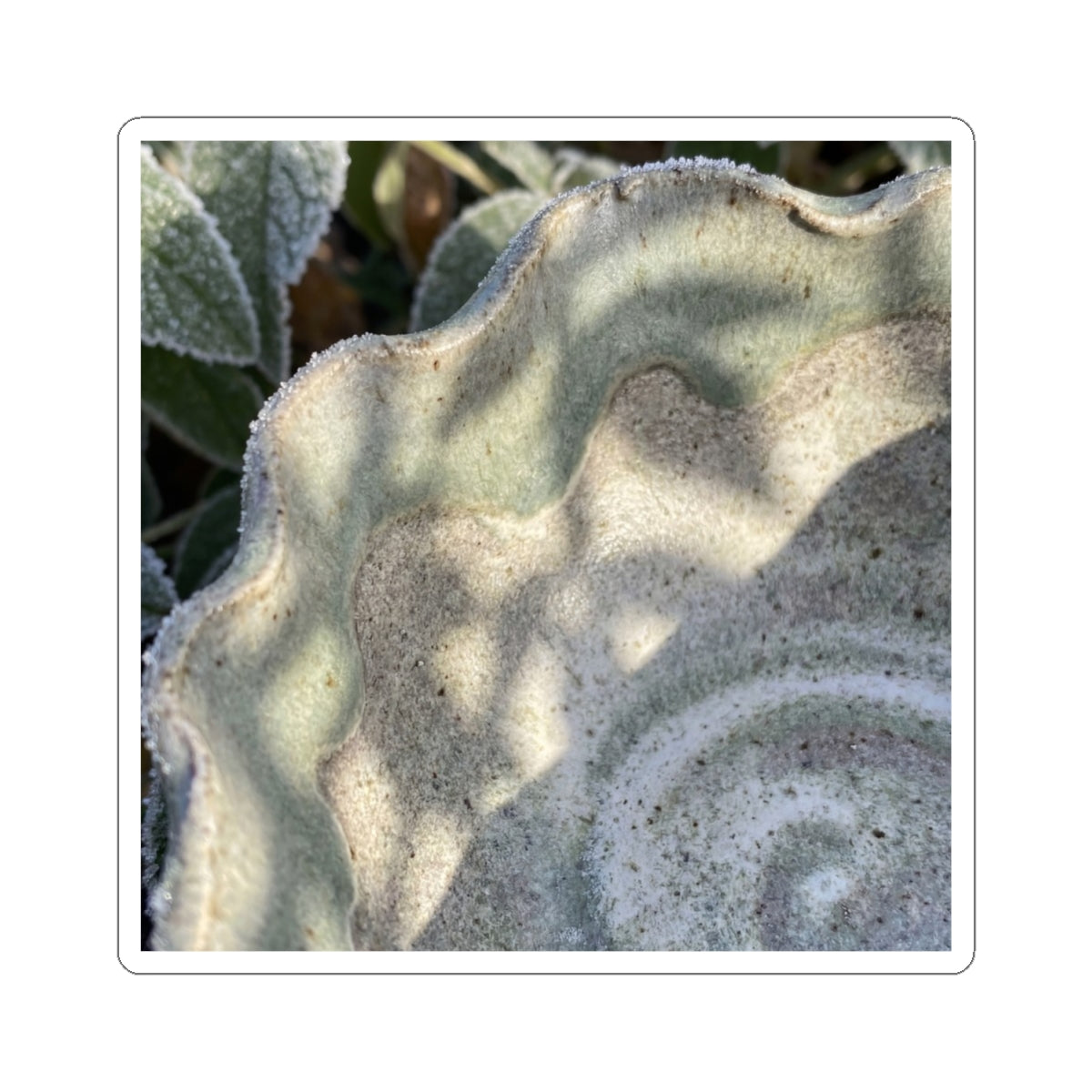 Japandi Ceramic Bowl in Dappled | Minimal Line Sticker Art Print
