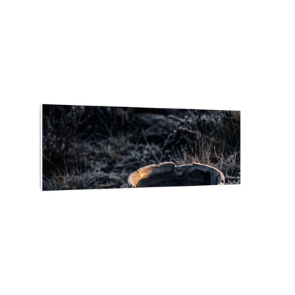Kanso Ceramic Bowl Canvas Art - Dark Japandi Dark Texture