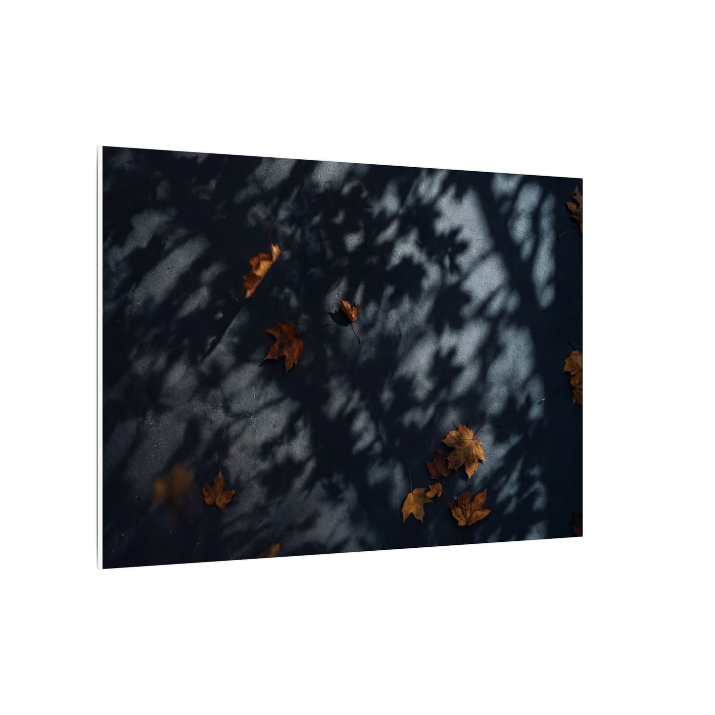 Autumn Shadow Play Shadow Zen Canvas Art | Atmospheric Decor