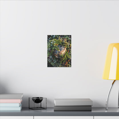 Artful Moss Close Up Canvas Art - Gold Repair Kintsugi