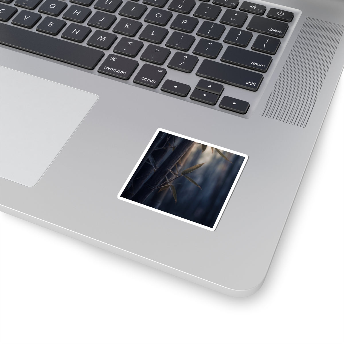 Bamboo Grove Sticker | Summer Dark Japandi Moody Minimal Art