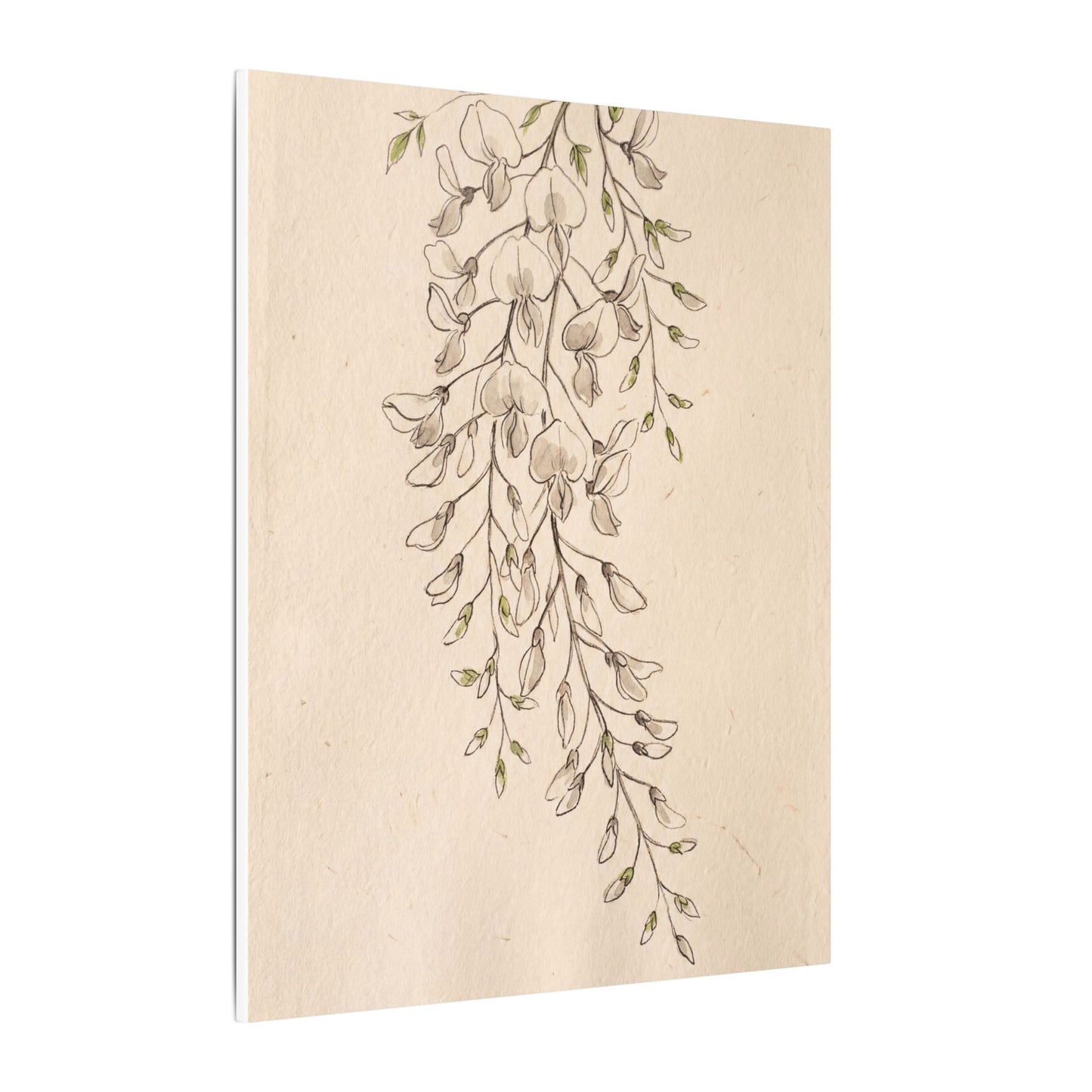 Japandi Wisteria in Golden Hour | Minimal Line Canvas Art