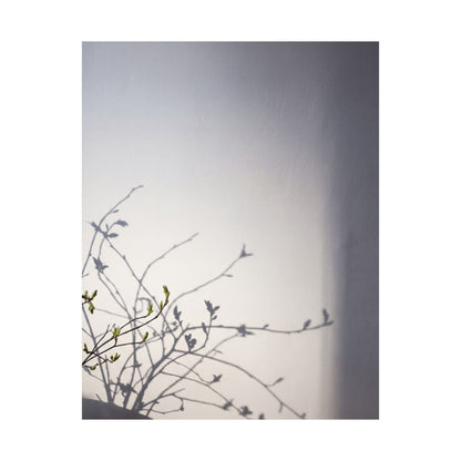 Japandi Shadow Play in Dawn | Japanese Pattern Wall Art Print